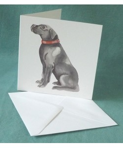 Labrador Card  Labrador Card